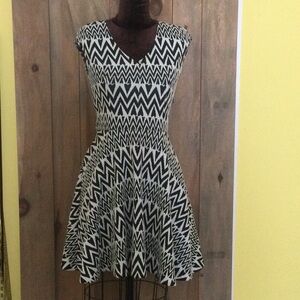 Bar III skater dress